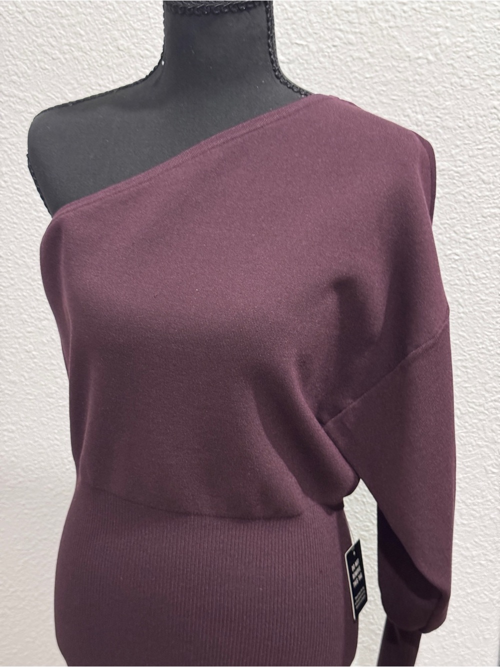 Express One-Shoulder Long-Sleeve Bodycon Dress - Plum NEW WITH TAGS